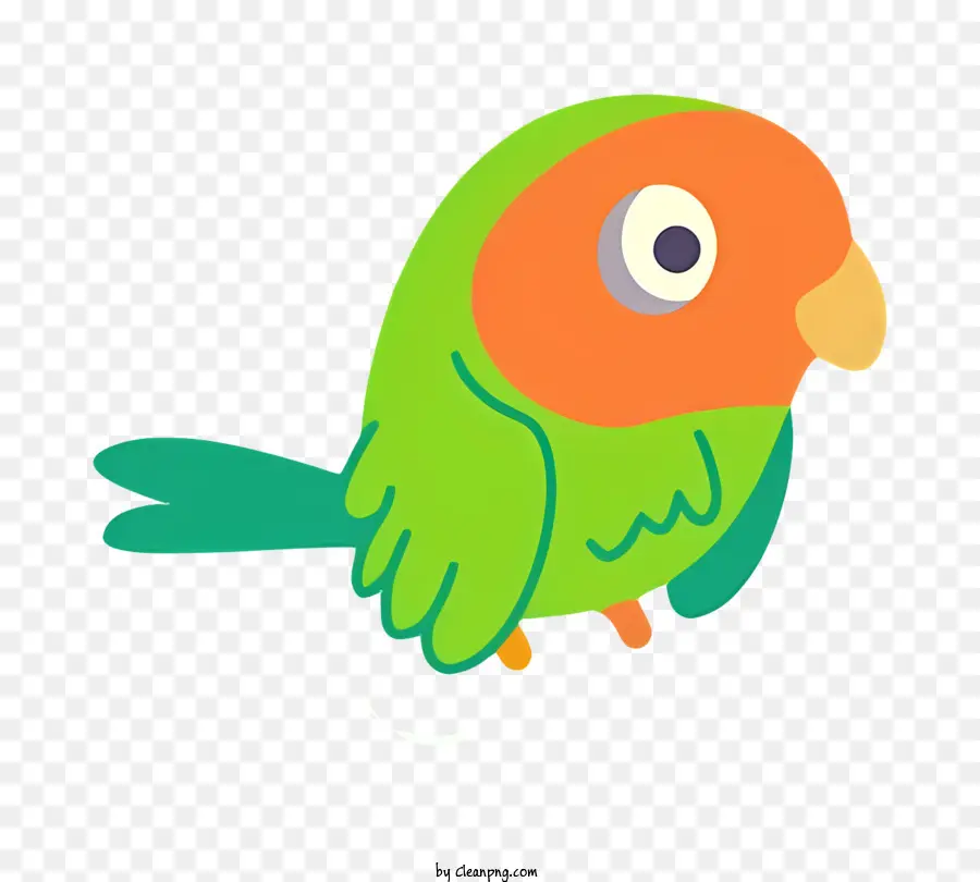 Oiseau Perroquet，Oiseau Vert PNG