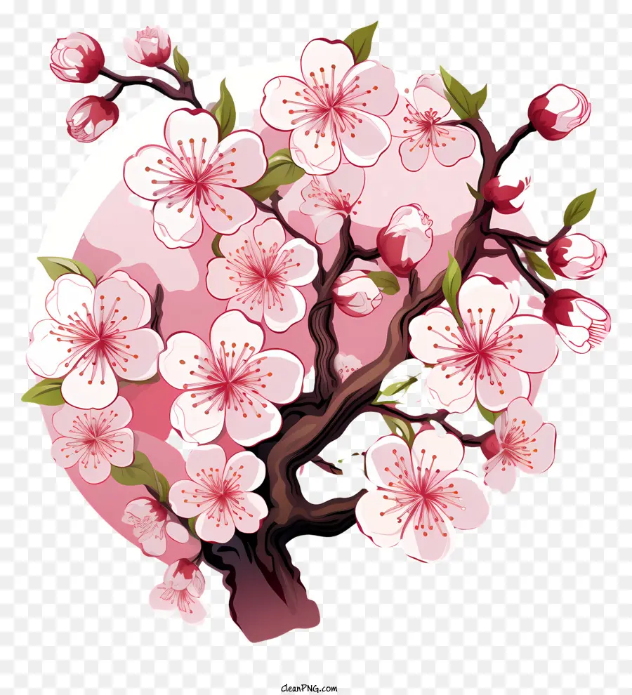Branche De Cerise De Style Doodle Fleur，Sakura Arbre PNG