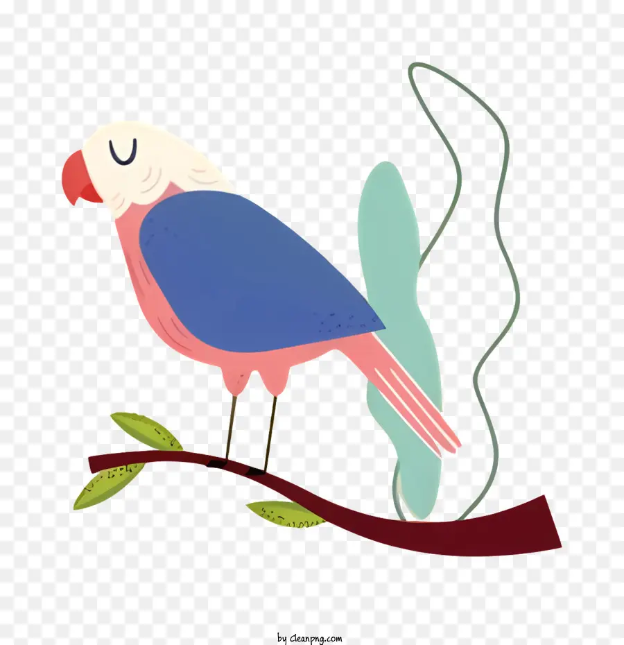 Oiseau Perroquet，Dessin Animé Oiseaux PNG
