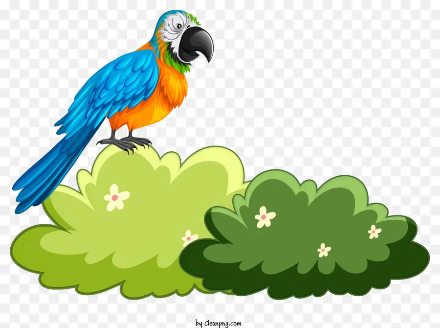 Oiseau Perroquet，Ara Bleu Et Jaune PNG