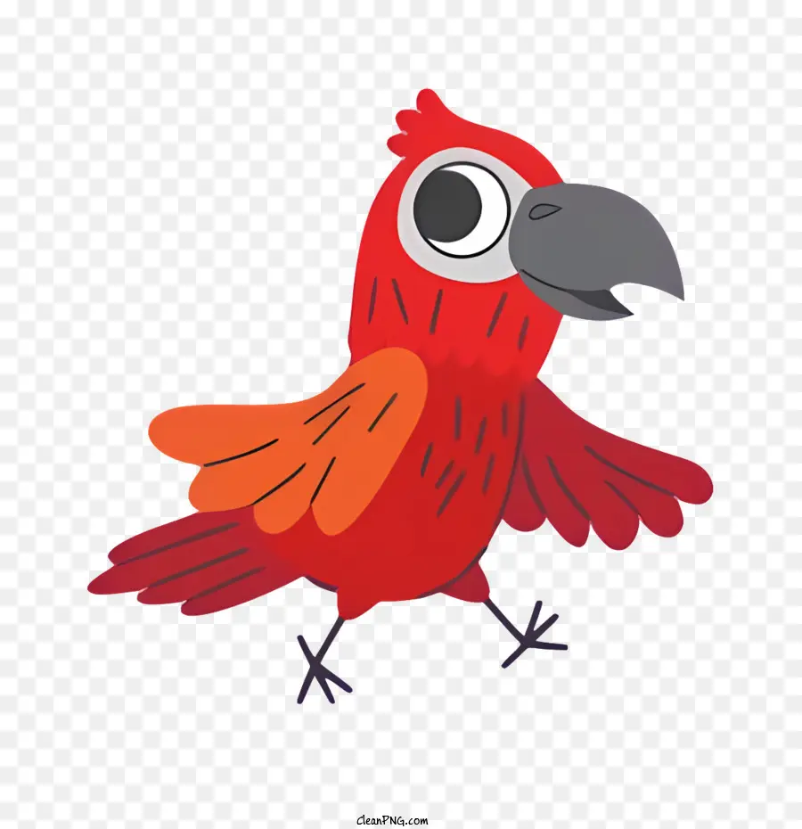 Oiseau Perroquet，Oiseau Rouge PNG