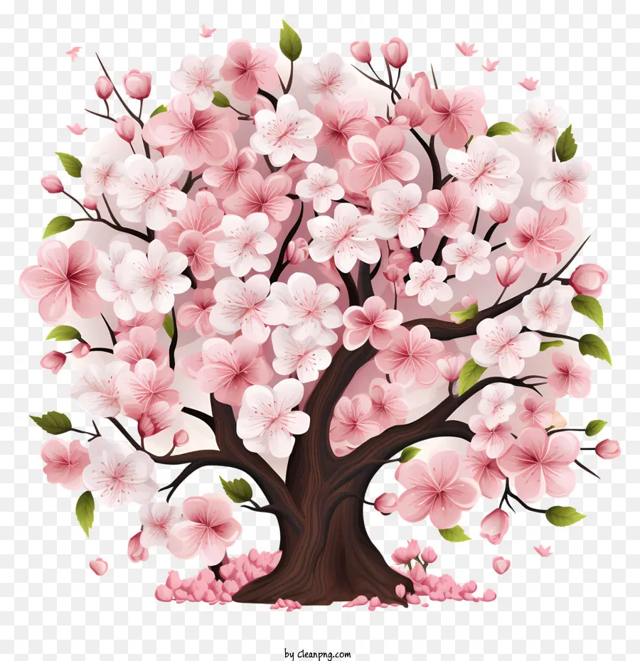 Cadre De Fleurs De Sakura，Fleur De Cerisier PNG