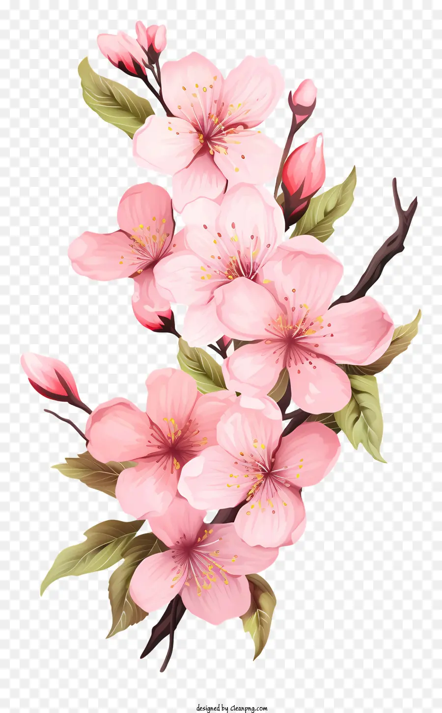 Cadre De Fleurs Sakura，Fleur De Cerisier PNG