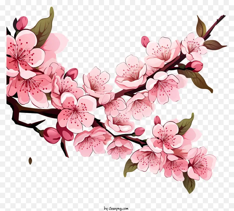 Fleur De Branche De Cerisier De Style Doodle，Fleurs De Cerisier PNG