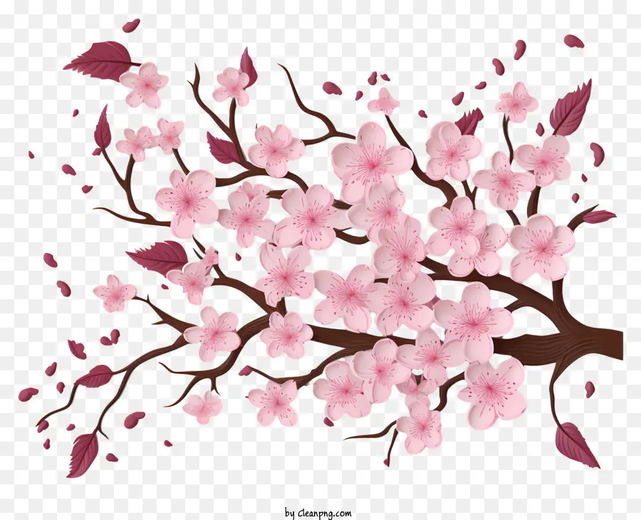 Papier Vierge Avec Des Fleurs De Cerisier，Fleur De Cerisier PNG
