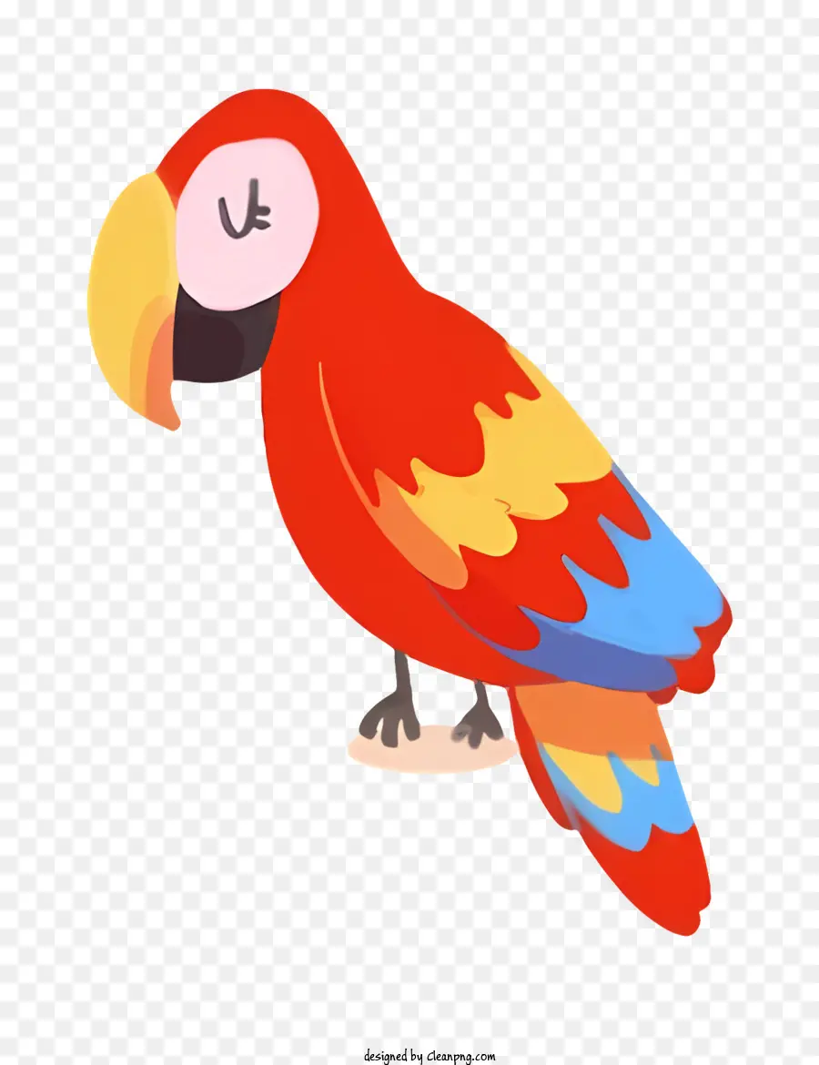 Oiseau Perroquet，Perroquet PNG