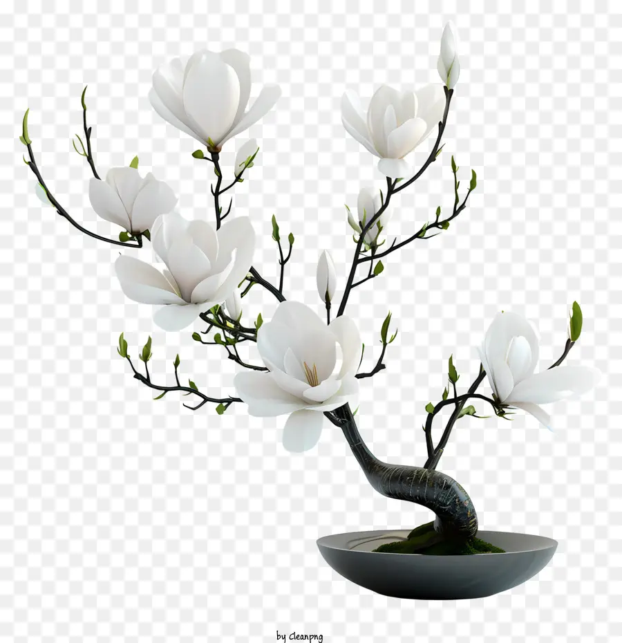 Arrangement Floral Zen，Arbre à Fleurs Blanches PNG