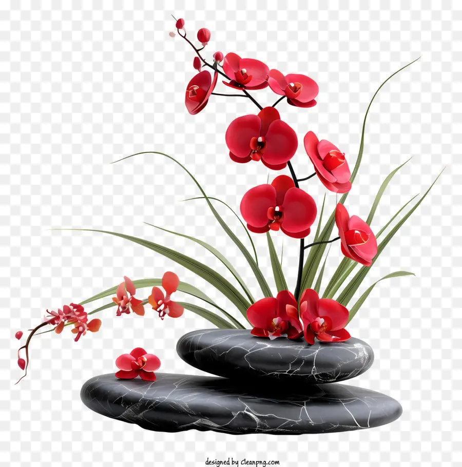 Composition Florale Zen，Fleurs Rouges Et Pierres Noires PNG