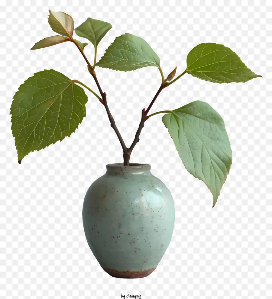 Vase，Vase En Céramique Verte PNG