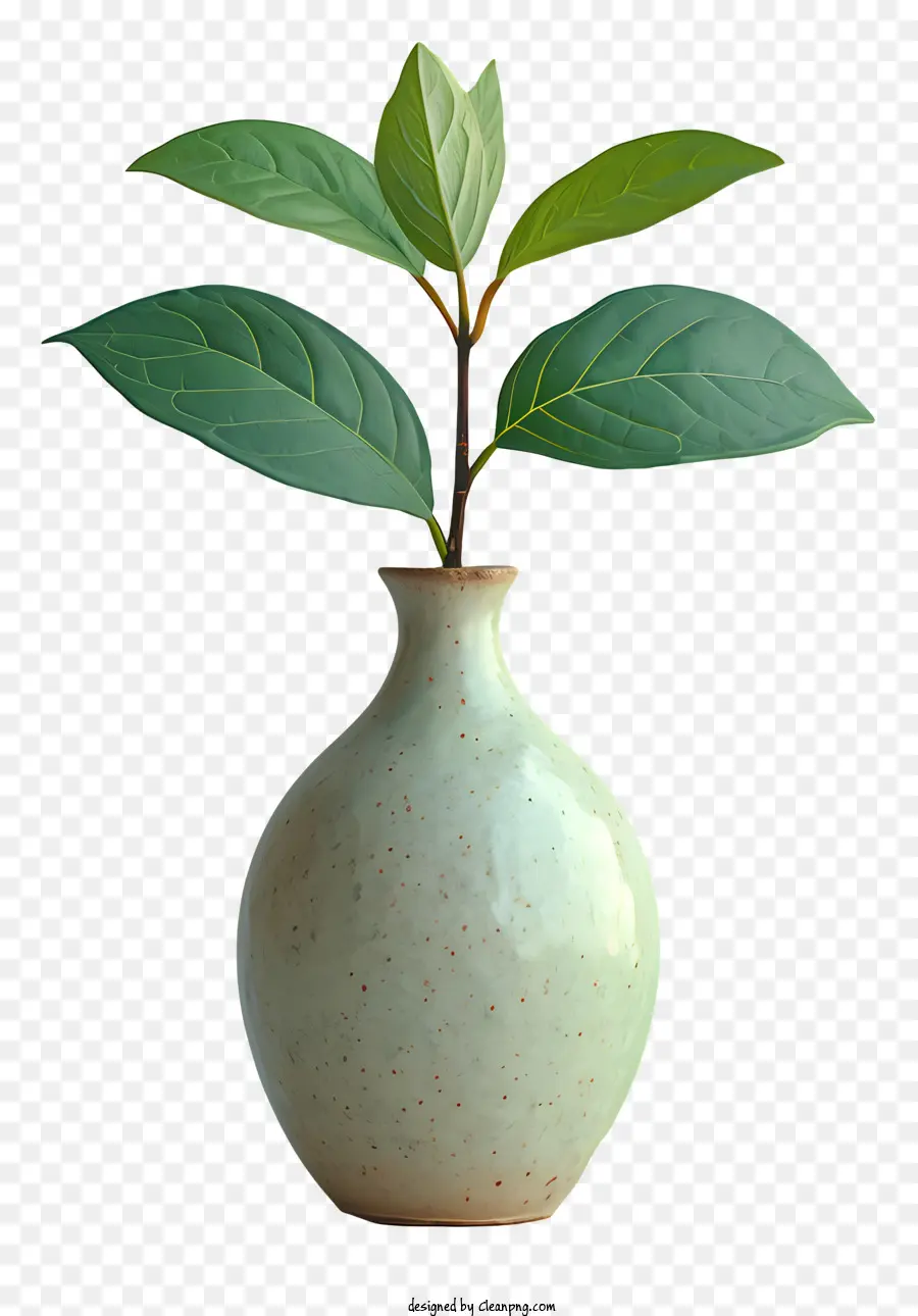 Vase，Jpg PNG