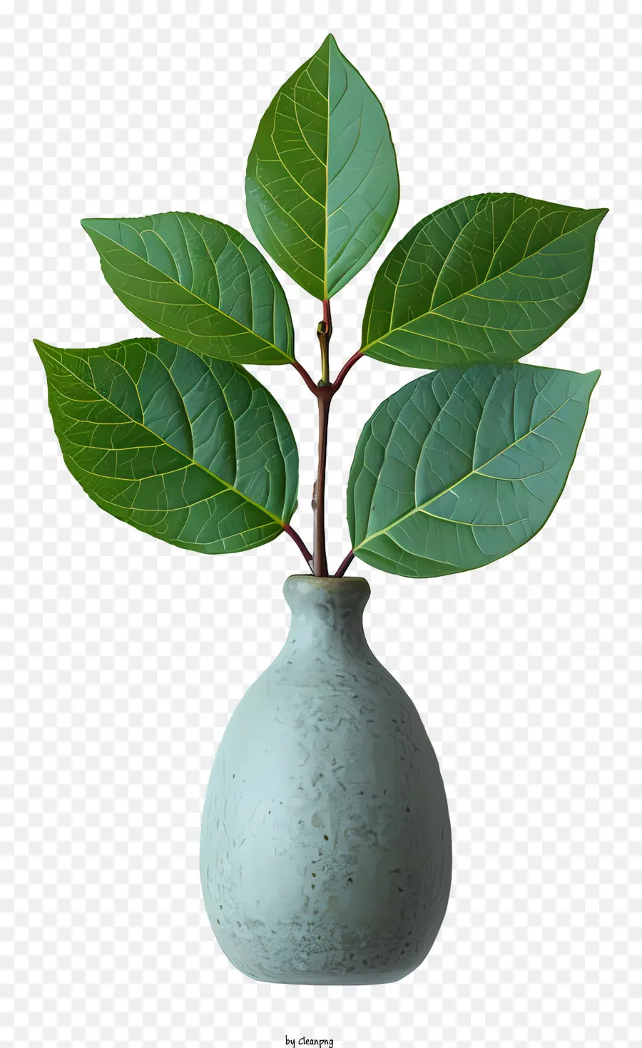 Vase，Plante Verte PNG