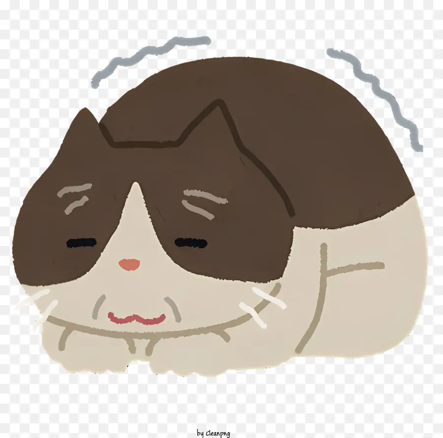Chat Endormi，Chat Paisible PNG