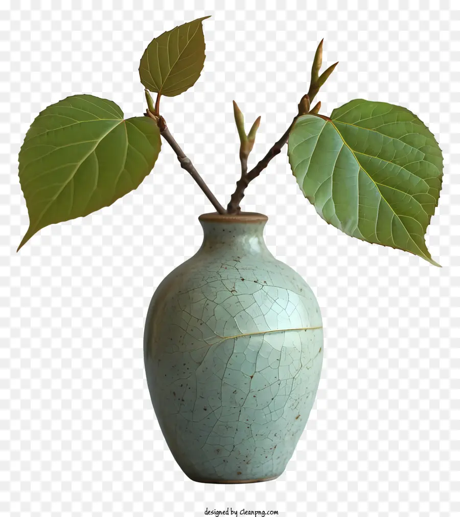 Vase，Petite Plante Verte PNG