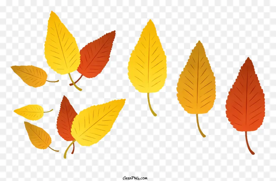 Feuilles，Collage PNG