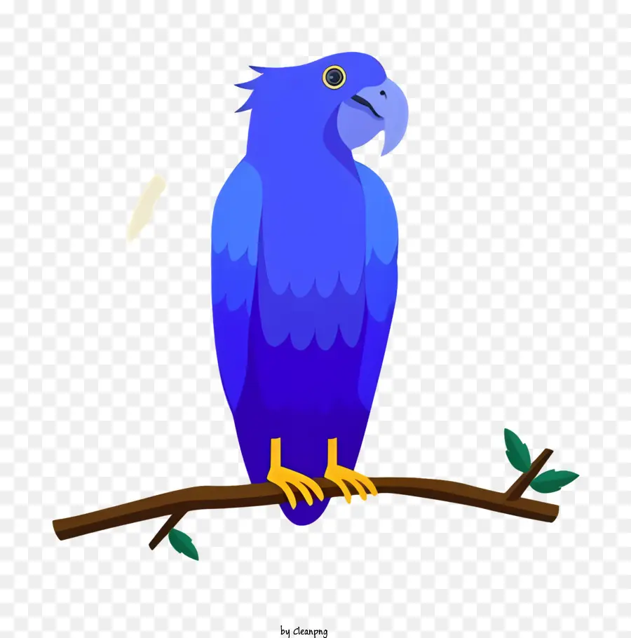 Oiseau Perroquet，Perroquet Bleu PNG