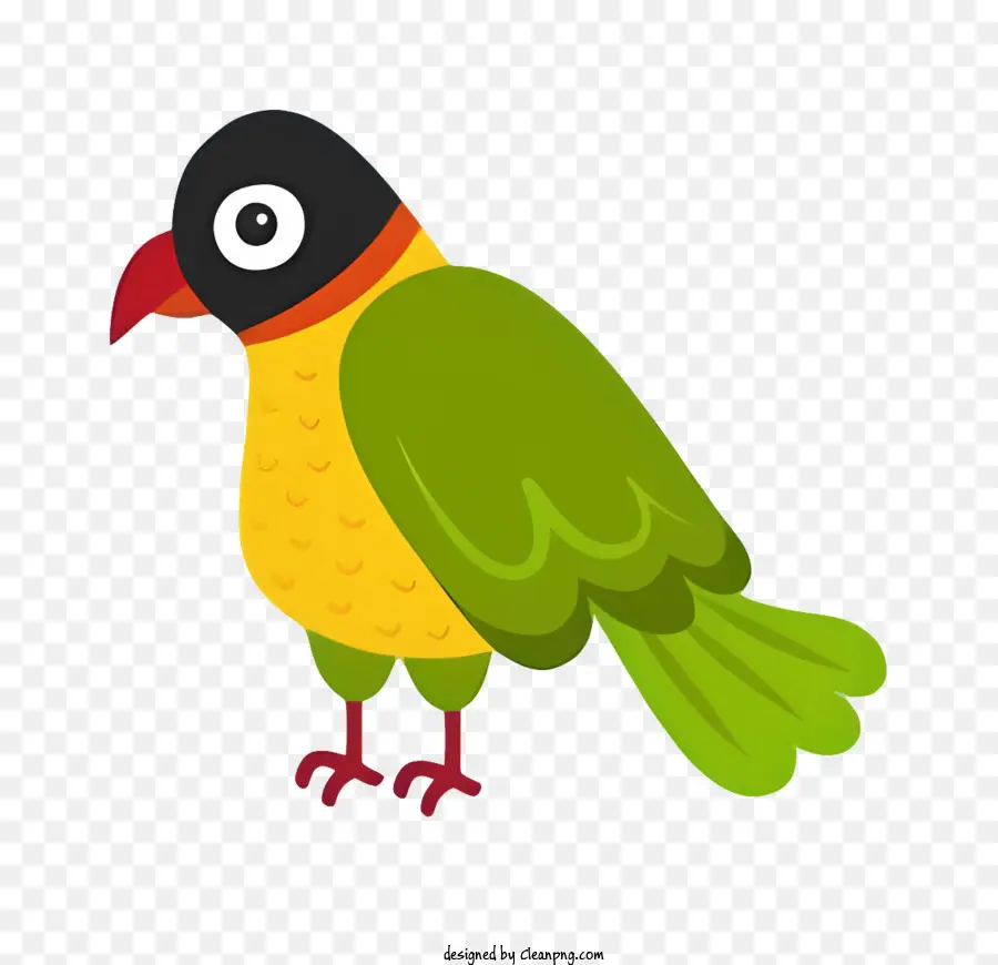 Oiseau Perroquet，Oiseau Illustration PNG