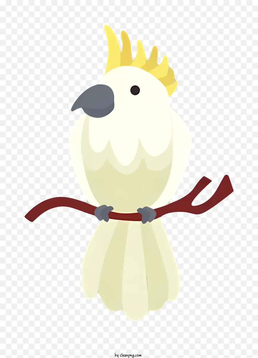 Oiseau Perroquet，Sans Plus D'informations PNG