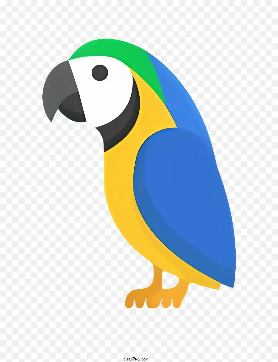 Perroquet Oiseau，Perroquet De Dessin Animé PNG