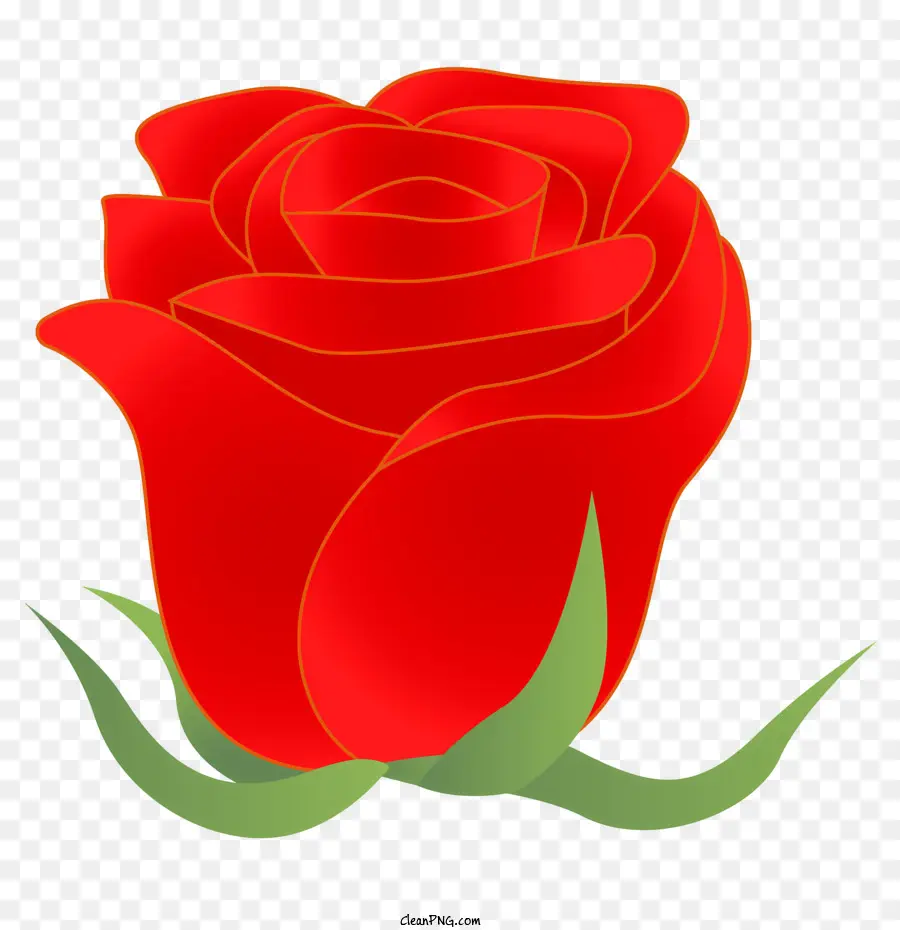 Rose，Rose Rouge PNG