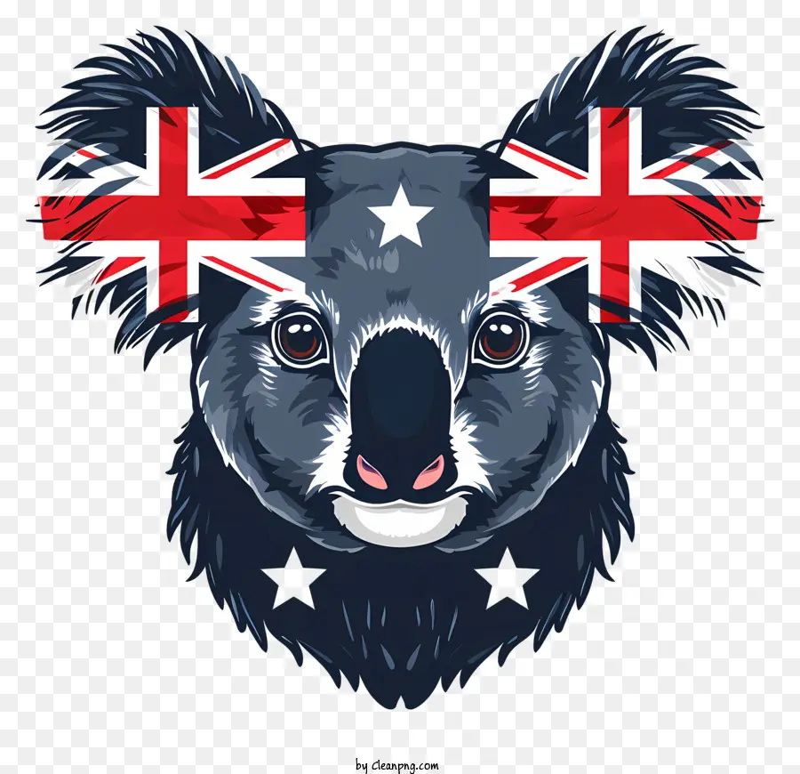 La Journée De L'australie，Koala PNG