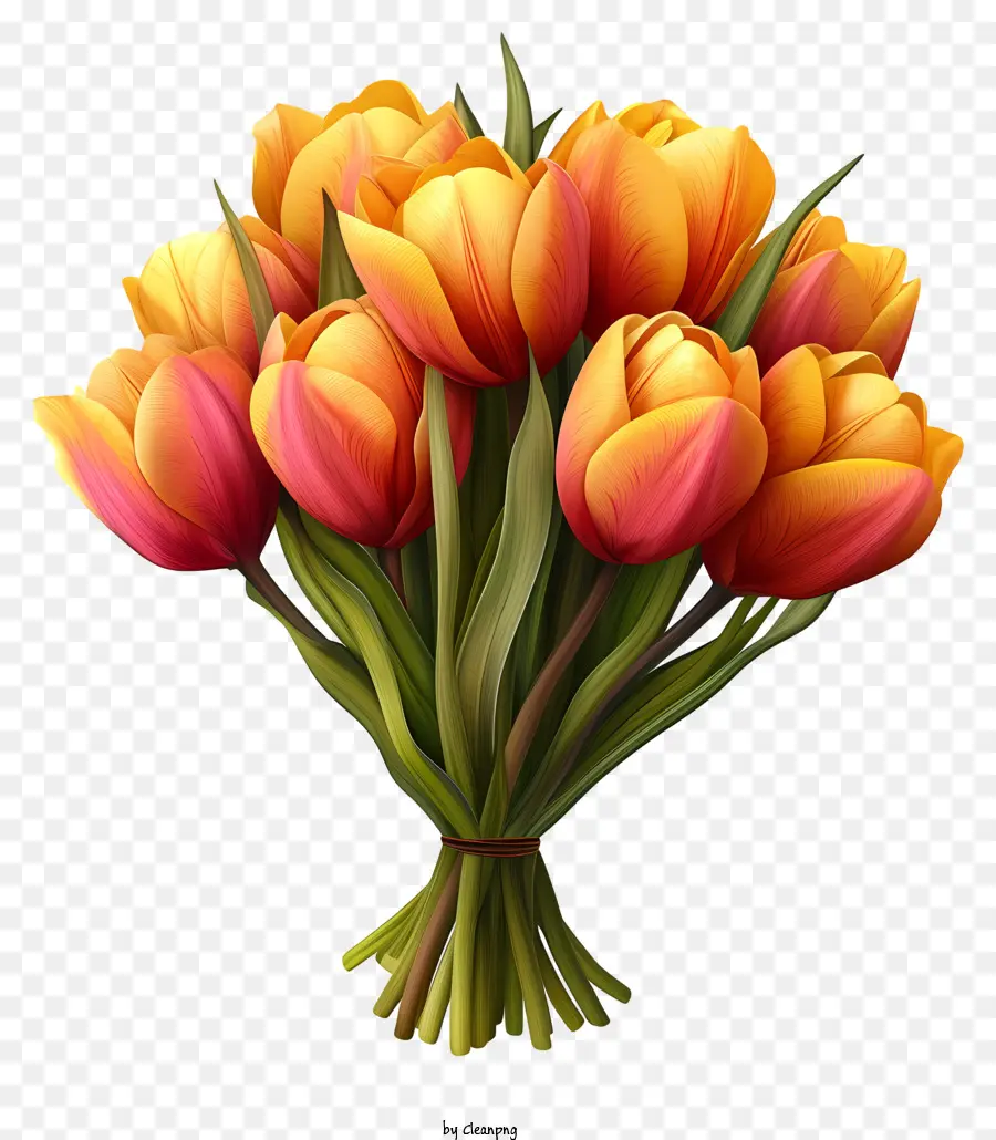 Bouquet De Tulipes De Style Doodle，Orange Tulipes PNG