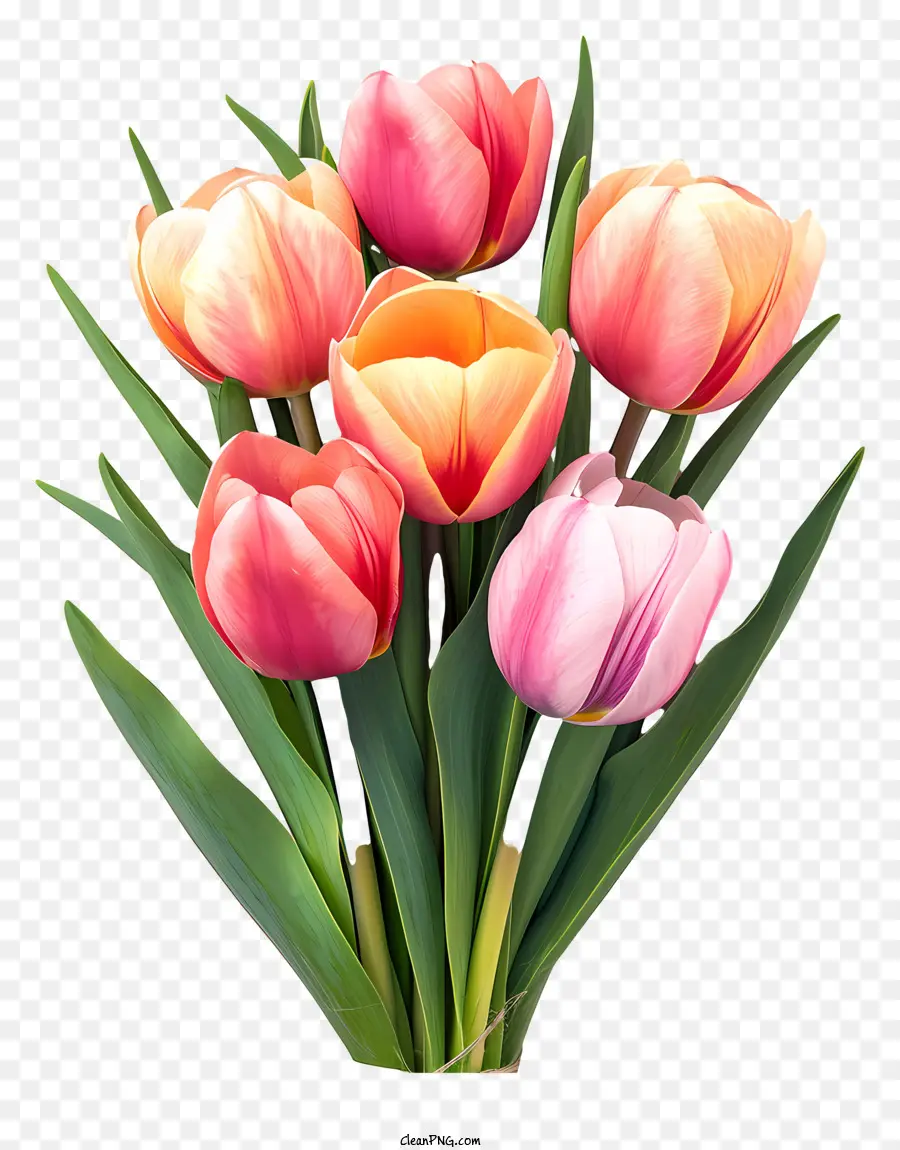 Bouquet De Tulipes Plates，Vase PNG