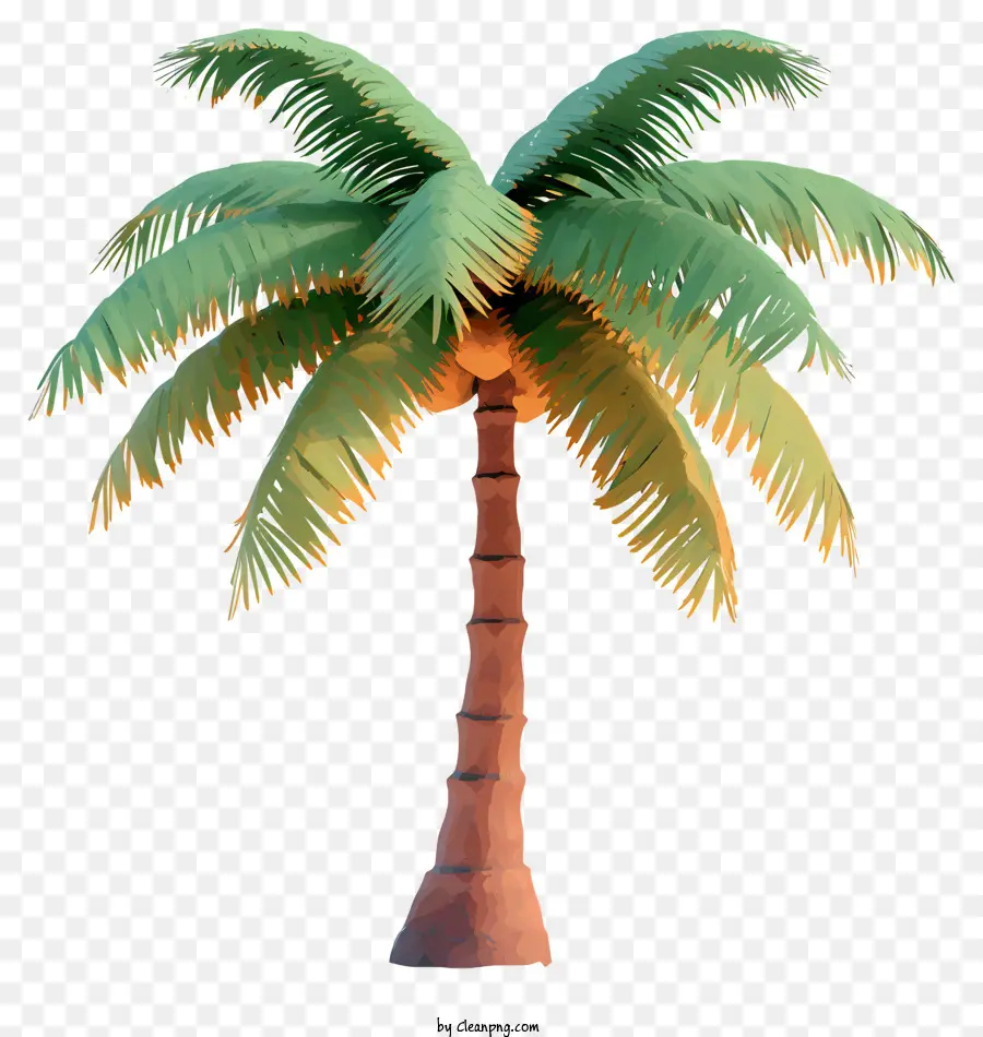 Coco à Plat，Palmier Vert PNG