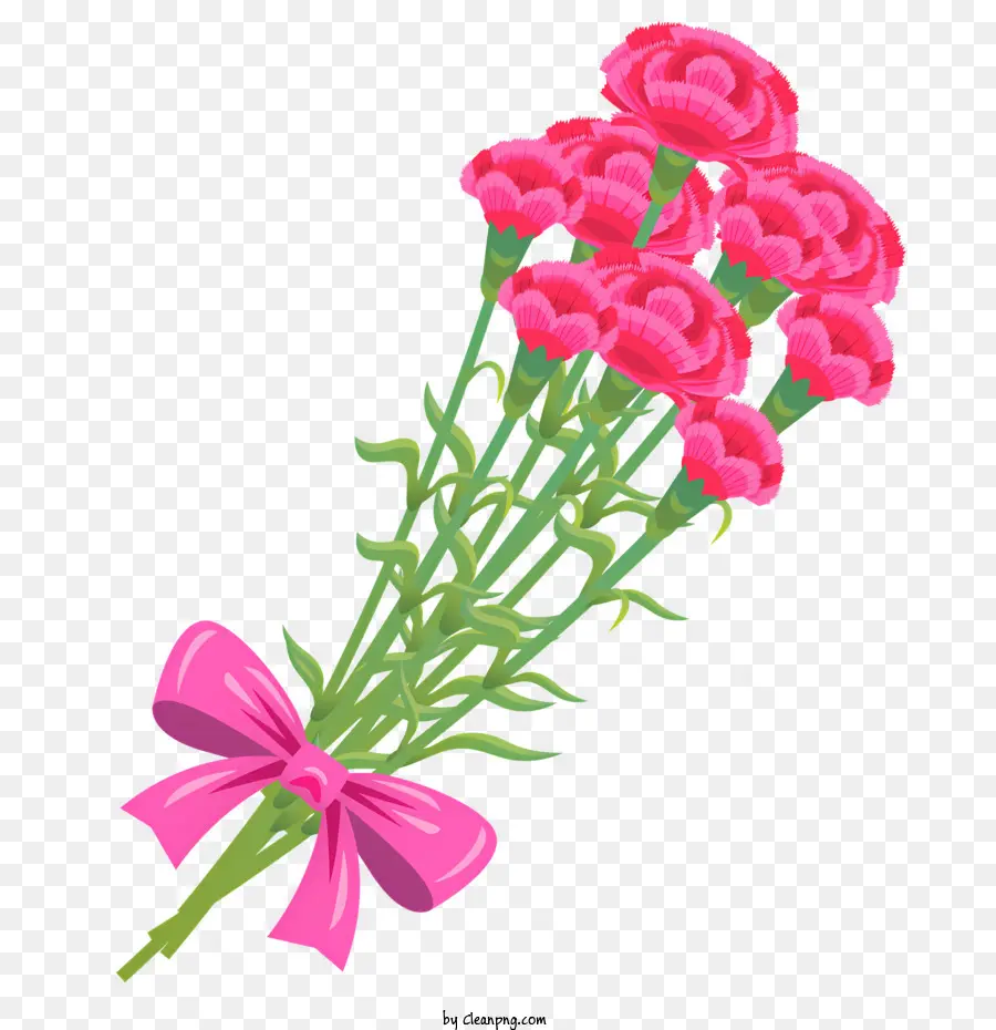 Oeillet Fleur，Des œillets Roses PNG