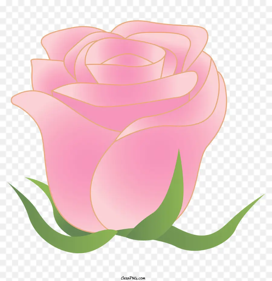 Rose，Rose Rose PNG