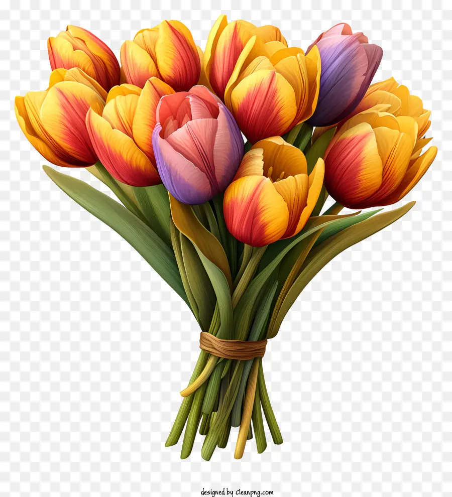 Sketch Style Tulips Bouquet，Les Tulipes PNG