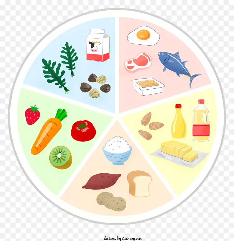 Des Repas Sains，Diagramme Circulaire PNG