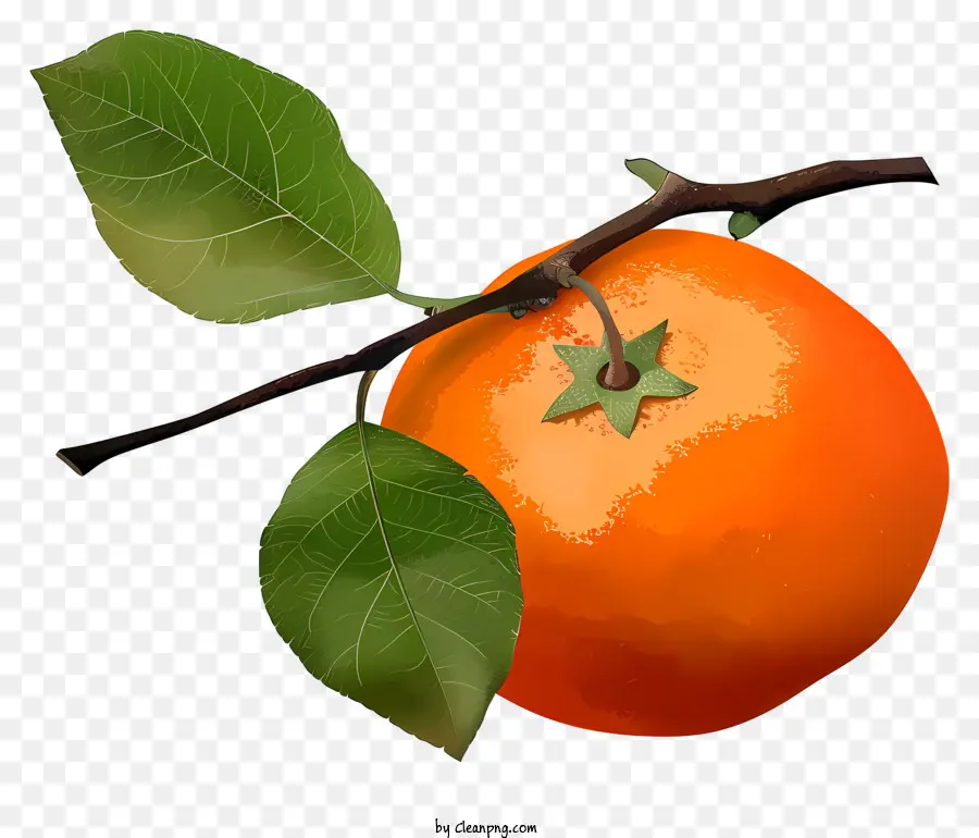 Kakor De Style Aquarelle，Fruit Orange Mûr PNG