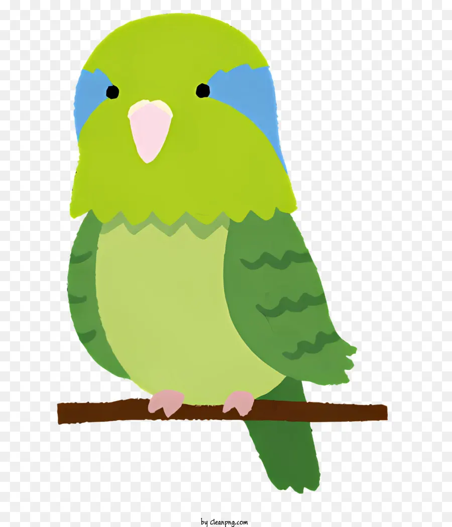 Oiseau，Oiseau Vert PNG