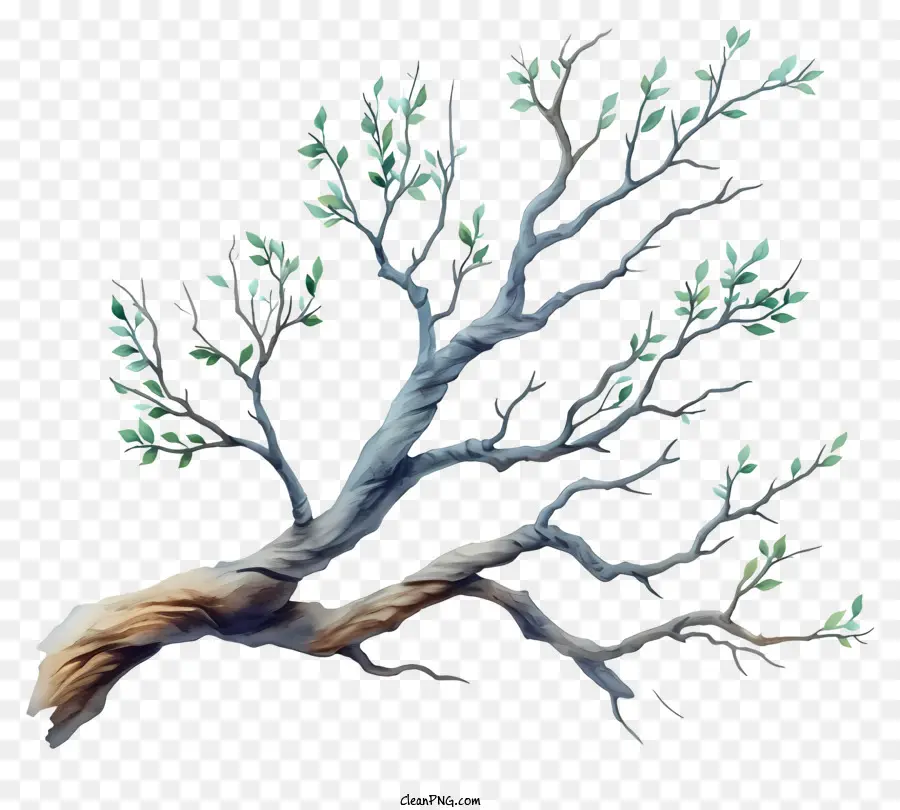 Branche Arbre Pastel，Branche D'arbre PNG