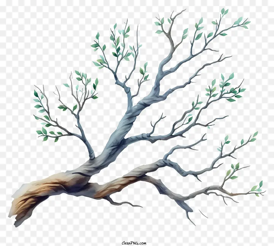 Branche D'arbre Pastel，Branche Verte PNG