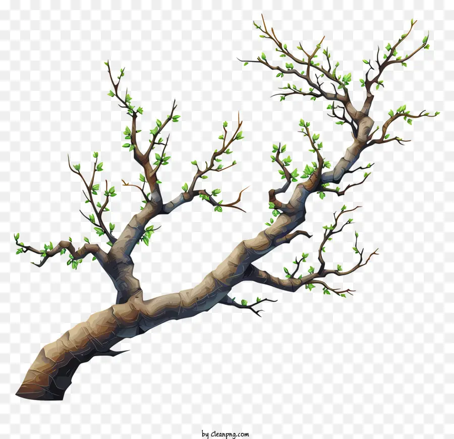 Branche D'arbre Dessinée à La Main，Image En Noir Et Blanc PNG