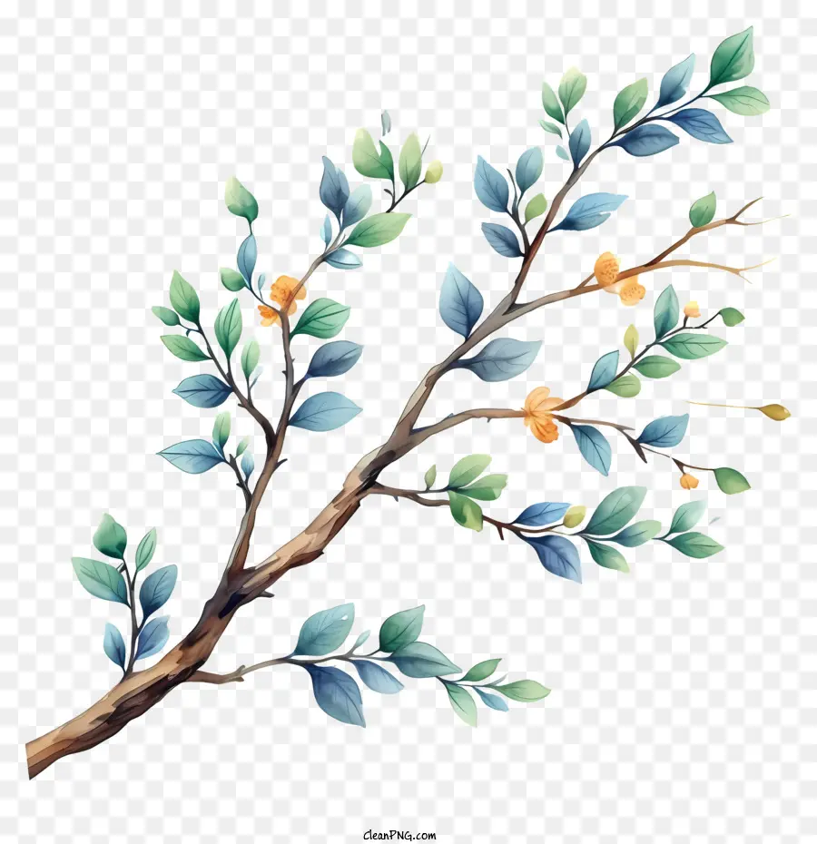 Branche Arbre Pastel，Branche D'arbre PNG