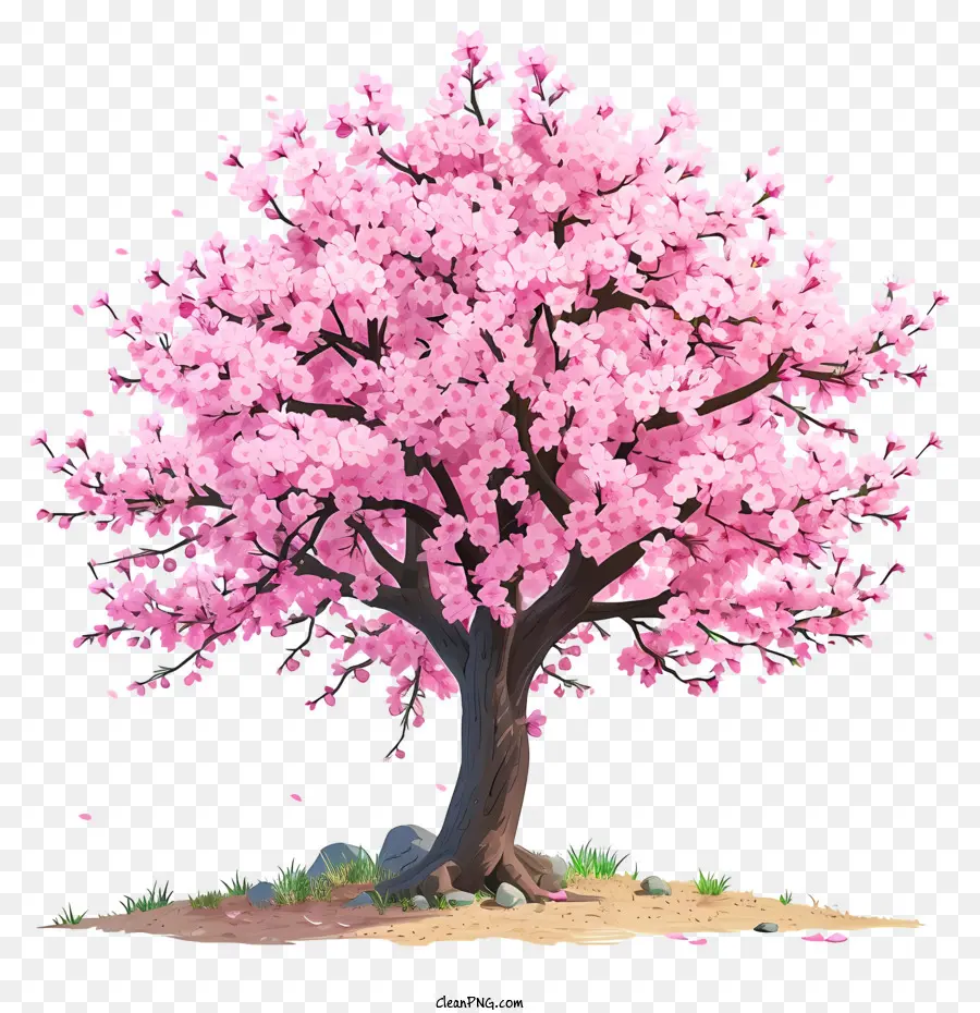 Arbre De Fleur De Cerisier Dessiné à La Main，Arbre De Fleur De Cerisier Rose PNG