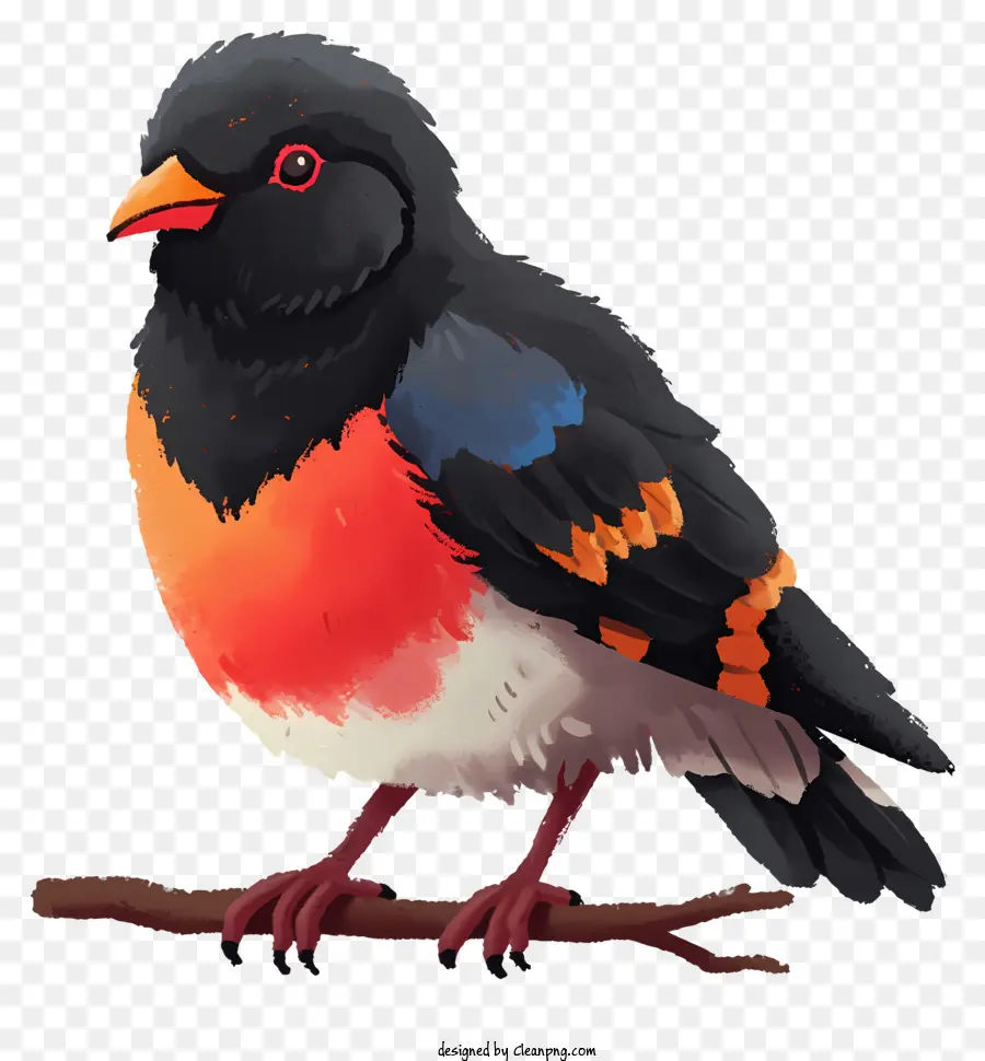 Oiseau De Style Dessiné à La Main，L'oiseau Noir PNG