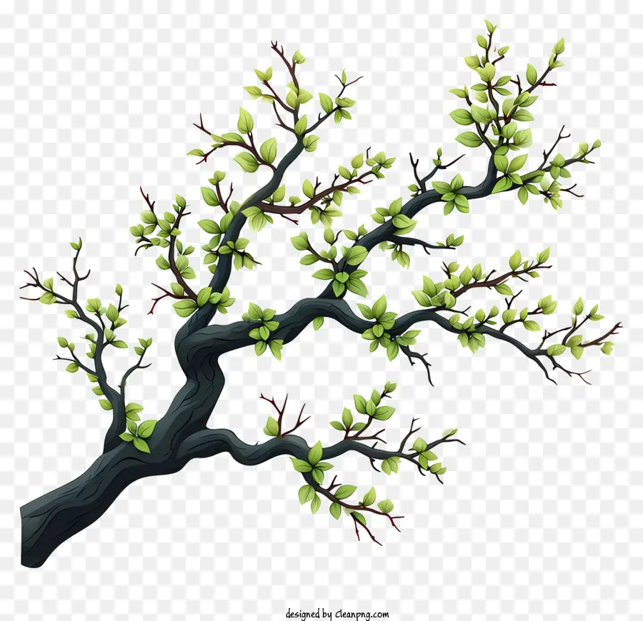 Branche D'arbre De Style Doodle，Arbre PNG