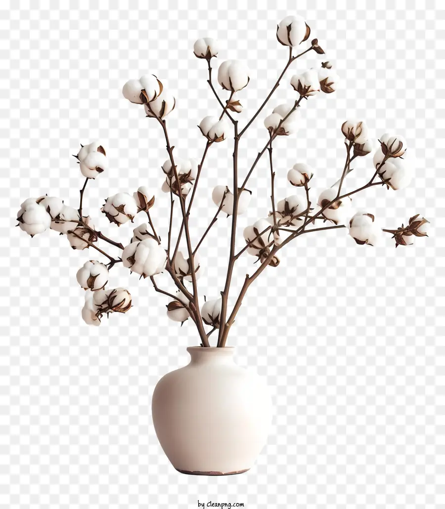Coton Fleurs，Vase Blanc PNG