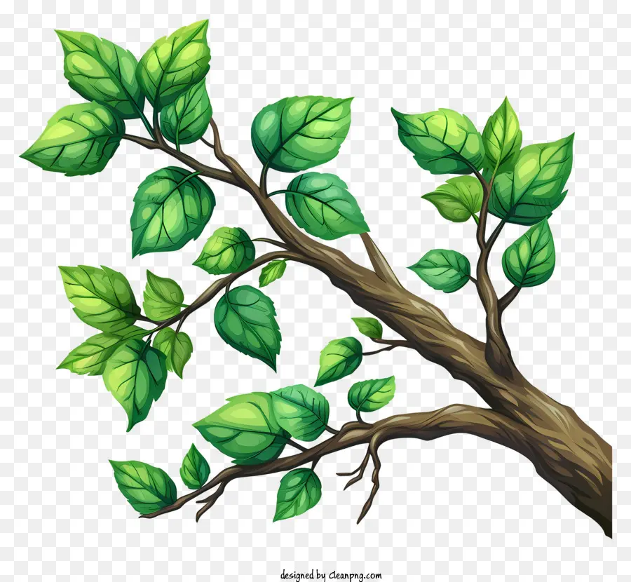 Branche D'arbre Dessinée à La Main，Branche Verte PNG