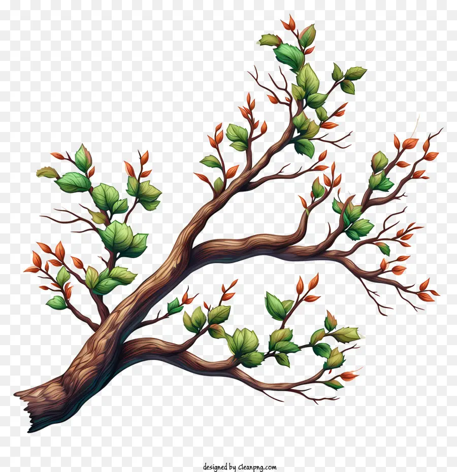 Branche D'arbre Dessinée à La Main，Les Branches Des Arbres PNG