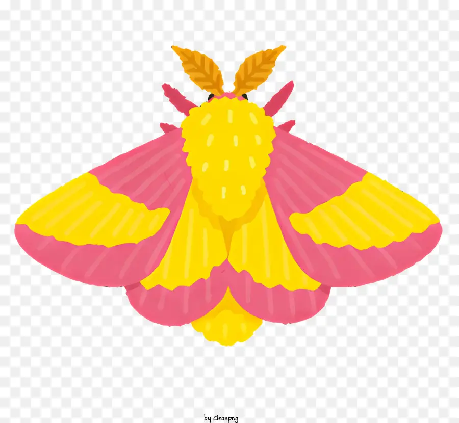 Bug，Papillon Coloré PNG