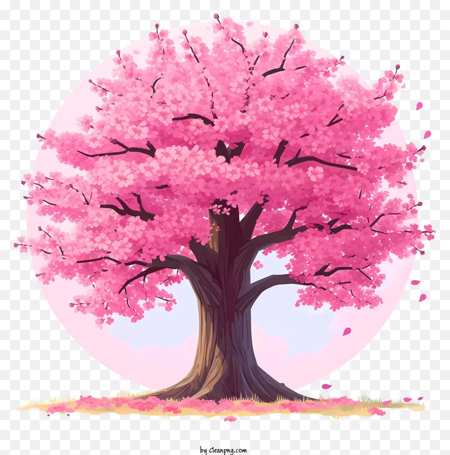 Arbre à Fleurs De Cerisier Plat，Arbre Rose PNG