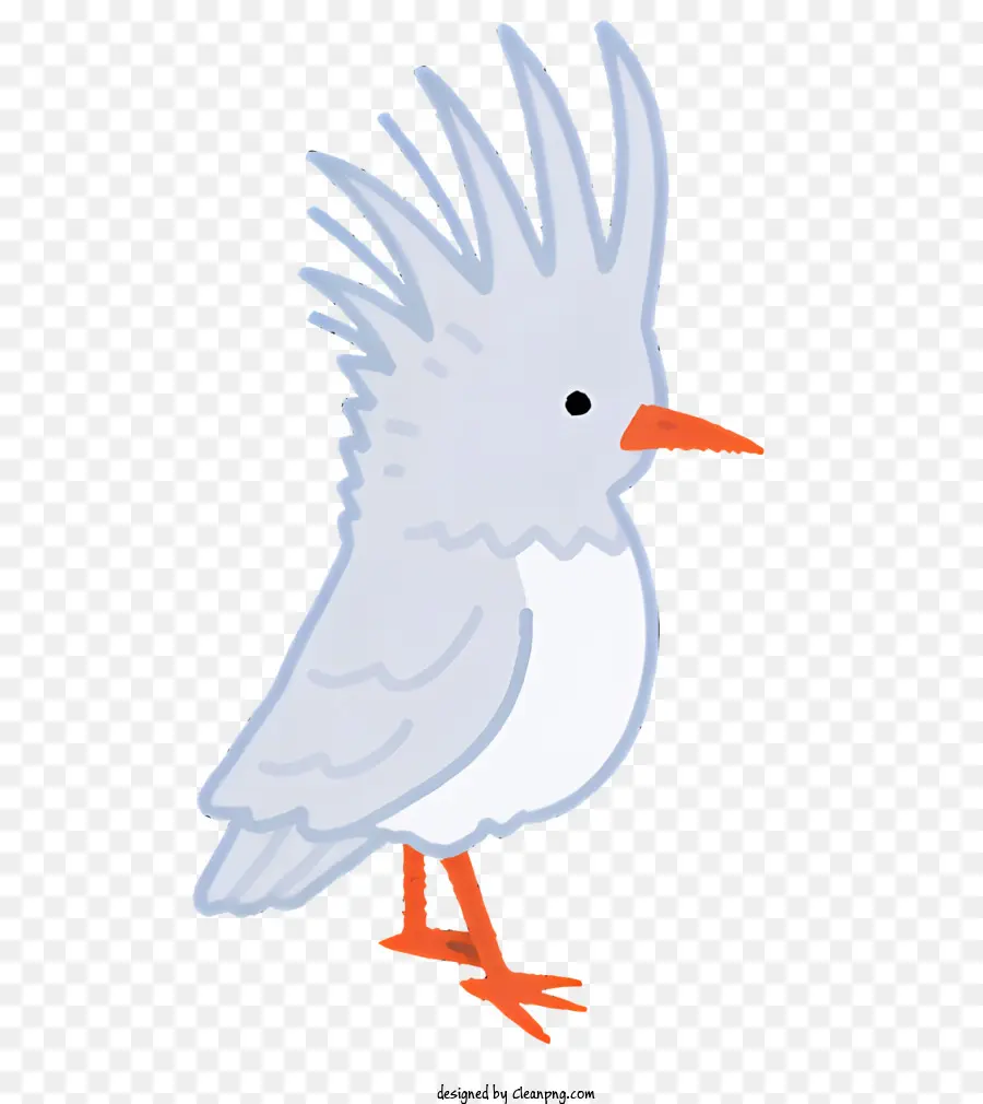 Oiseau，Plumes Blanches PNG