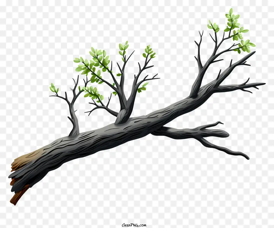 Branche D'arbre De Style Croquis，Branche D'arbre Mort PNG