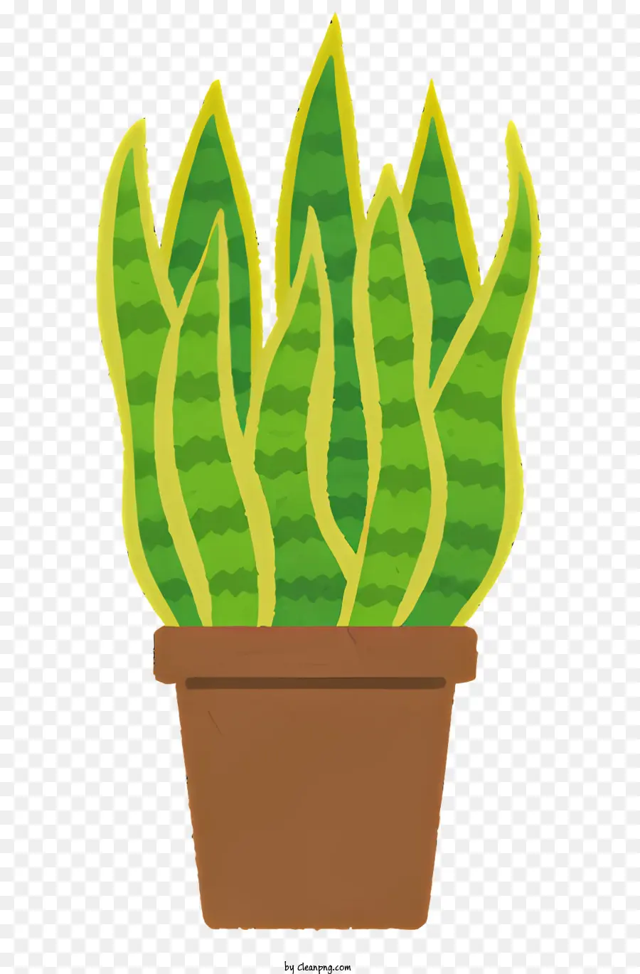 Usine，Aloe Vera Vert PNG