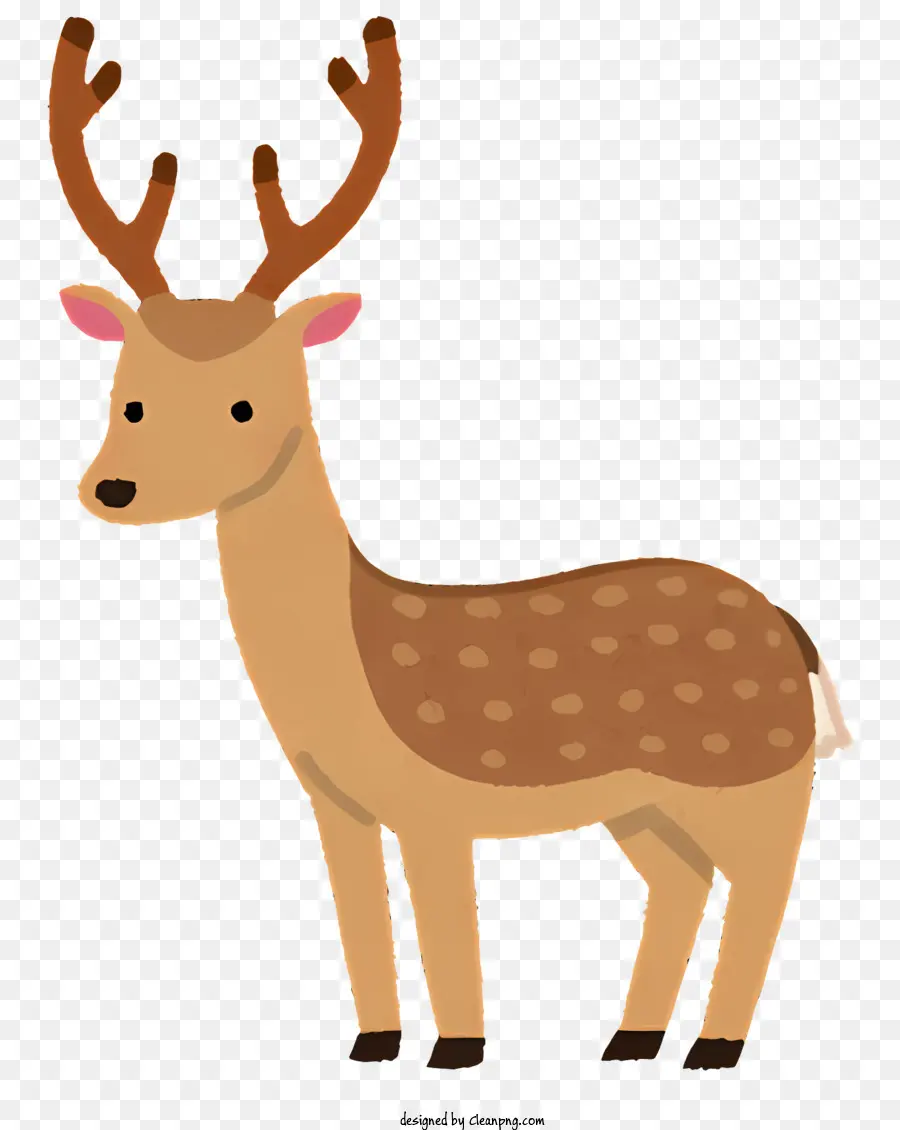 Animal，Cerf PNG