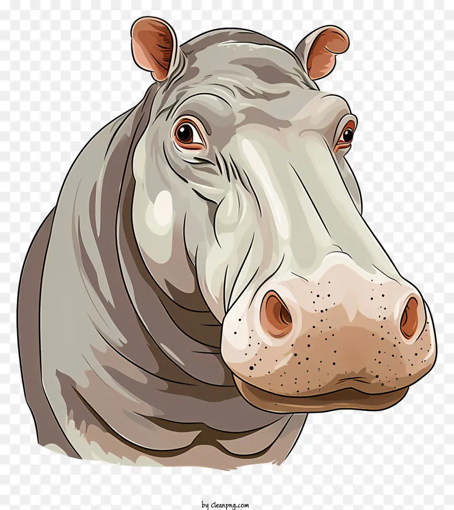 Hippopotame，Affronter PNG